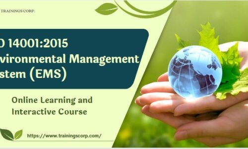 The Top 5 Skills You Gain from ISO 14001 Training Certification