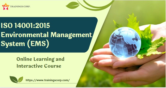 The Top 5 Skills You Gain from ISO 14001 Training Certification